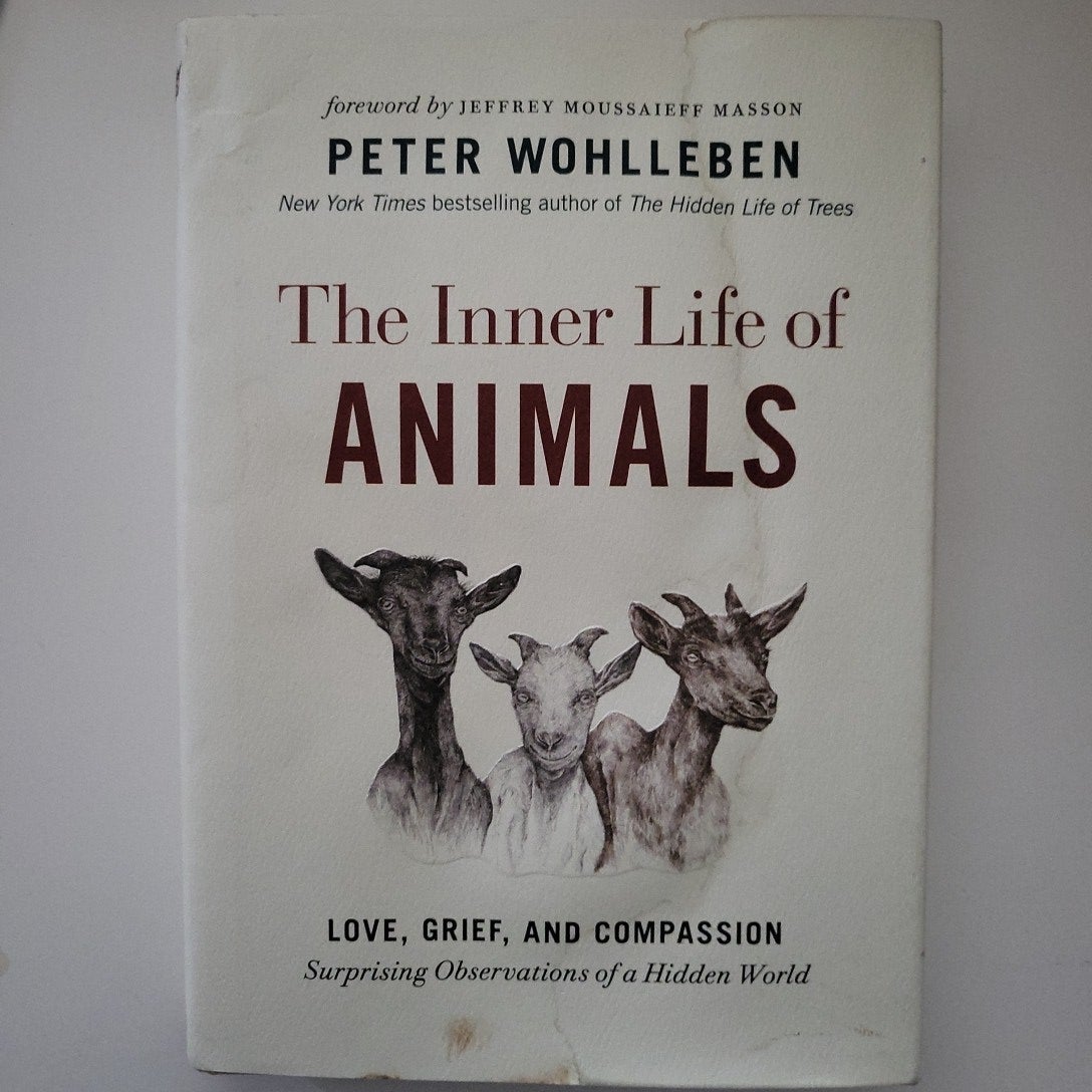 The Inner Life of Animals