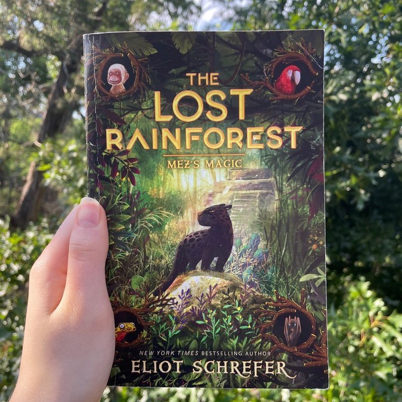 The Lost Rainforest #1: Mez's Magic