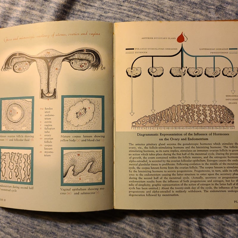Sex Endocrinology 