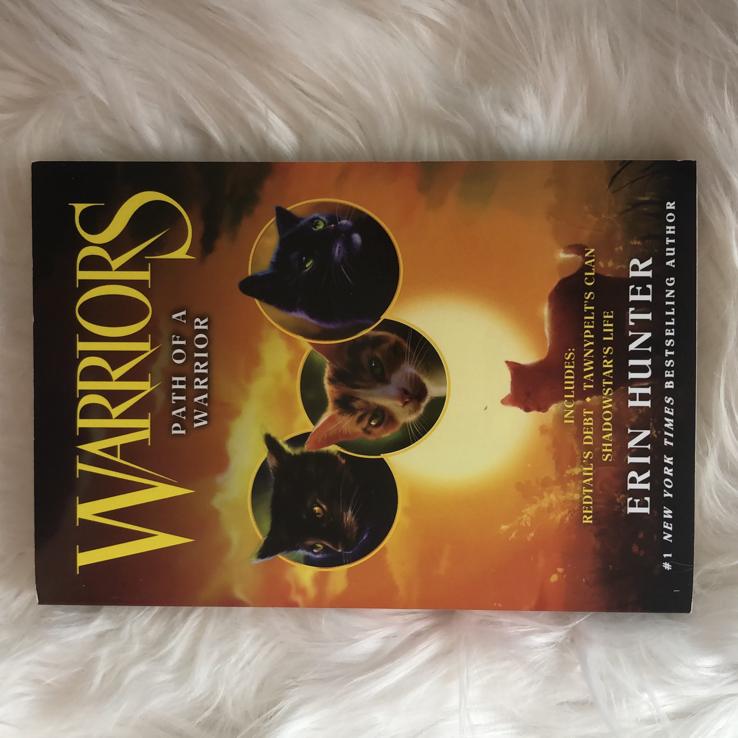 Warriors: Path of a Warrior