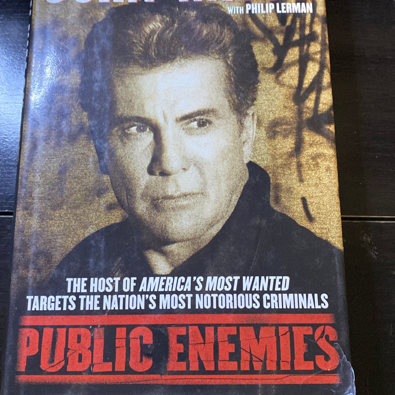 Public Enemies