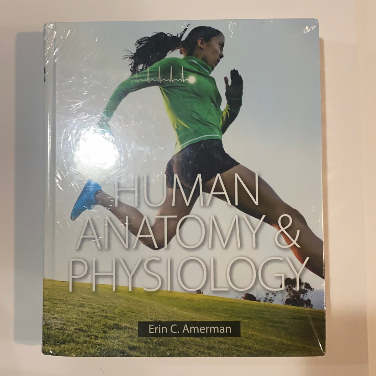 Human Anatomy and Physiology by Erin Amerman