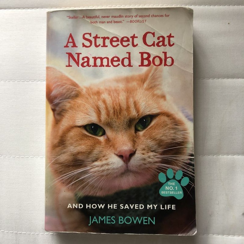 A Street Cat Named Bob