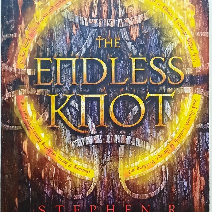 The Endless Knot #3