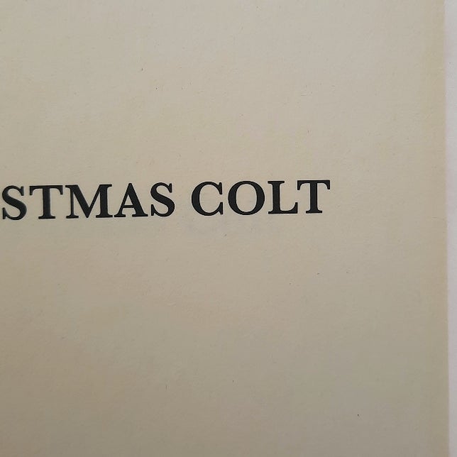 Christmas Colt
