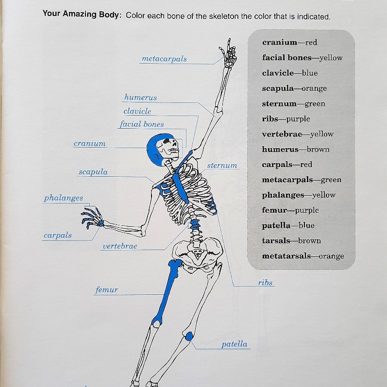 Developing Good Health 2nd Ed. Tests, Quizzes,  Worksheets,  Key