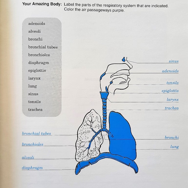 Developing Good Health 2nd Ed. Tests, Quizzes,  Worksheets,  Key