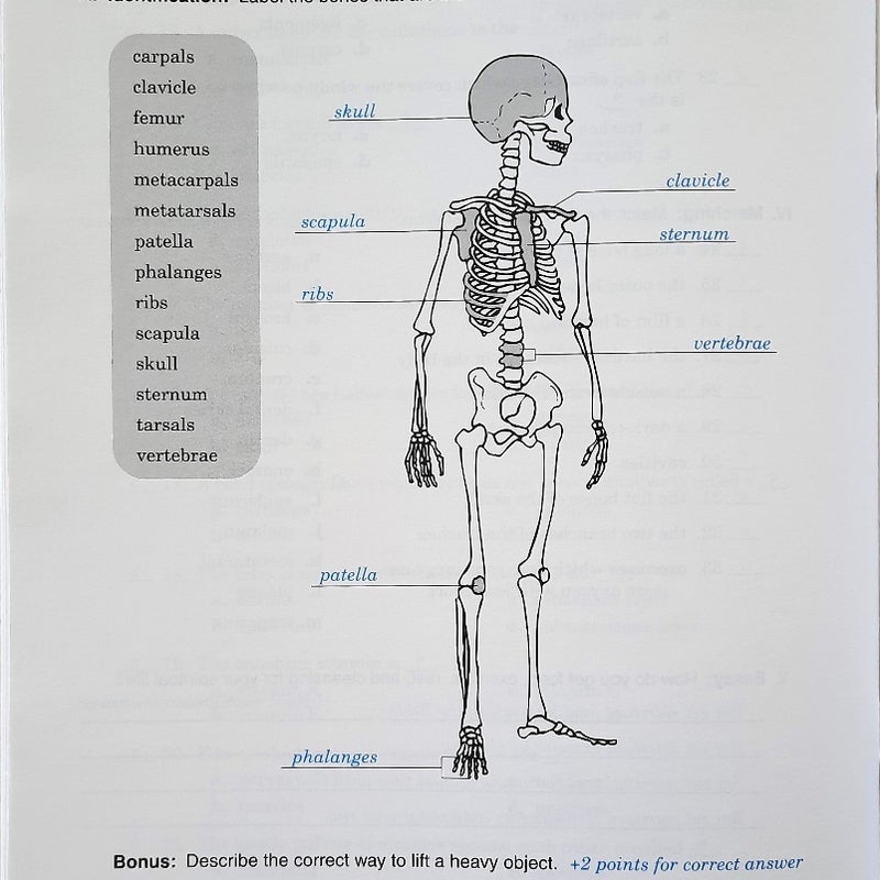 Developing Good Health 2nd Ed. Tests, Quizzes,  Worksheets,  Key