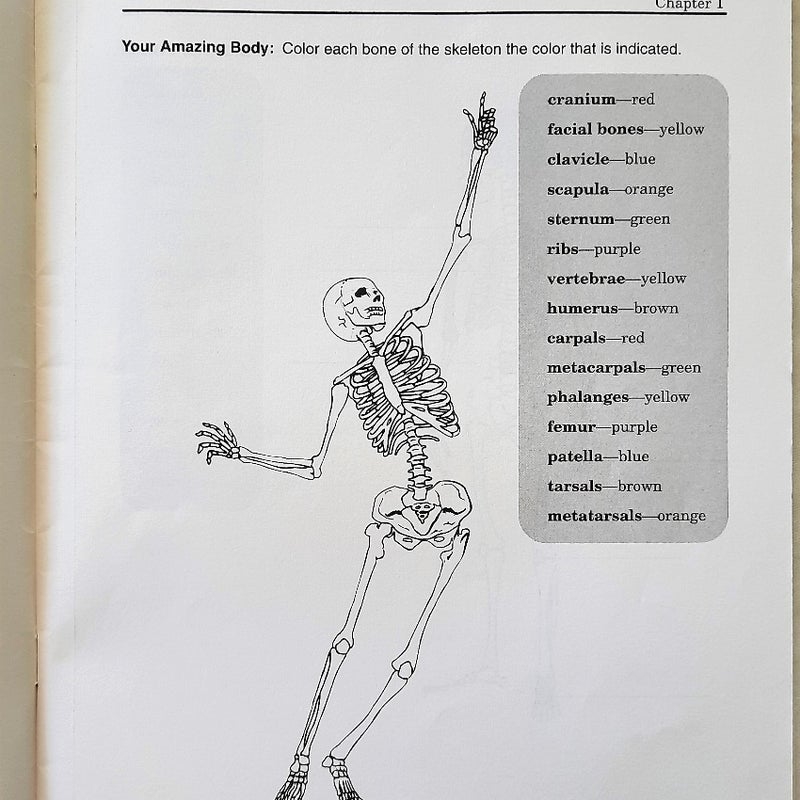 Developing Good Health 2nd Ed. Tests, Quizzes,  Worksheets,  Key