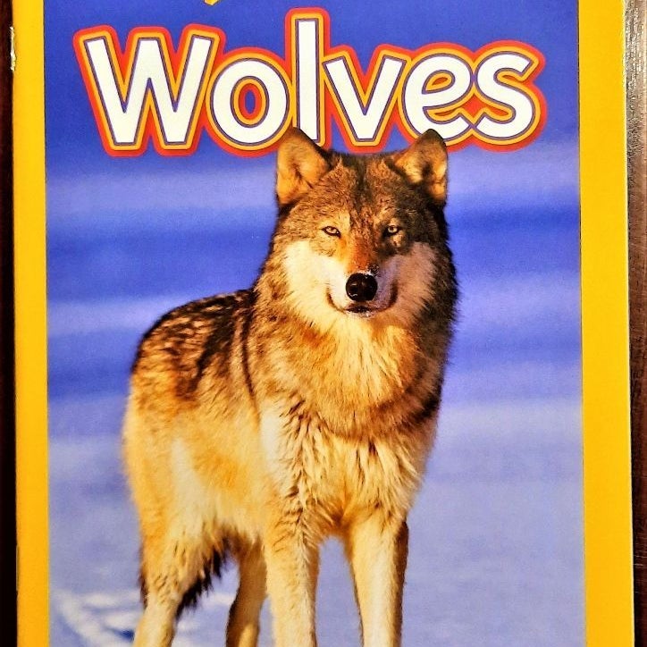 Wolves National Geographic Kids