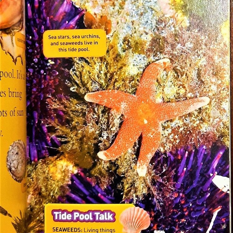 Tide Pools National Geographic Kids