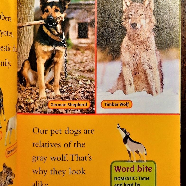 Wolves National Geographic Kids