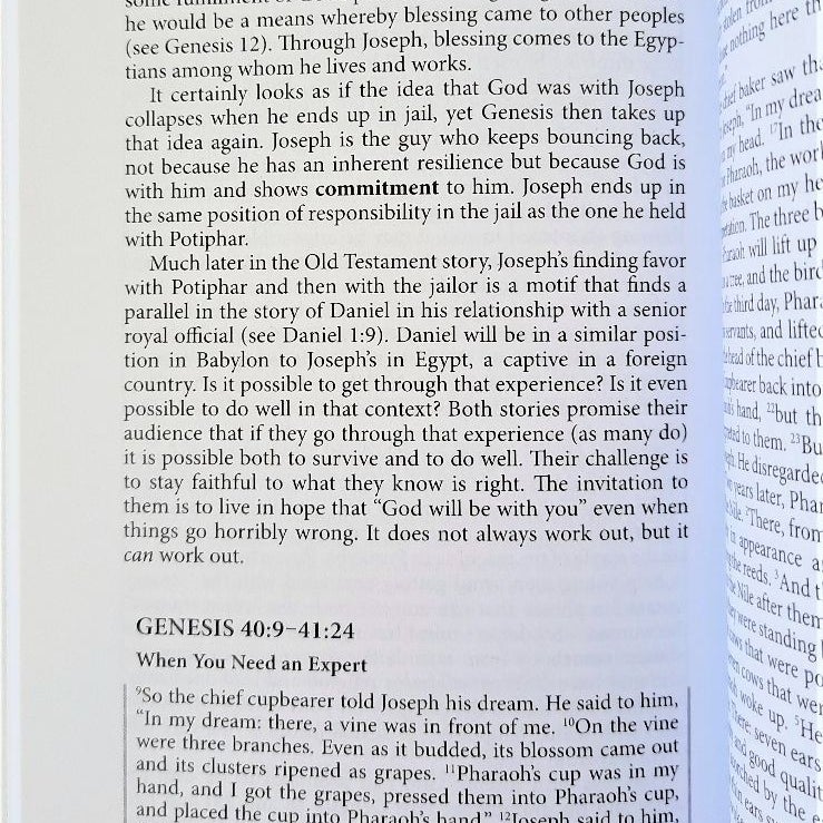 Genesis for Everyone, Chapters 17-50