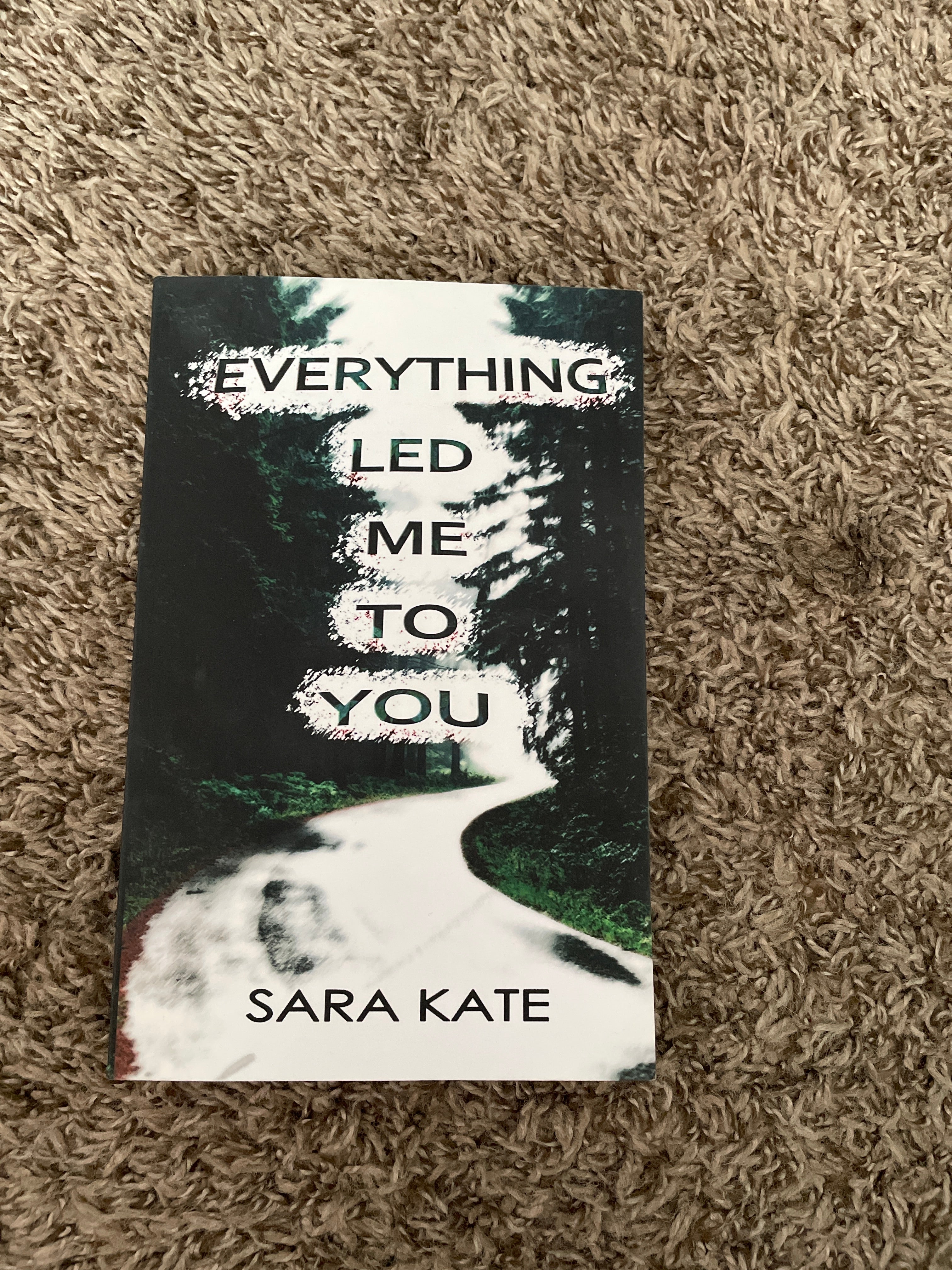 Everything Led Me to You