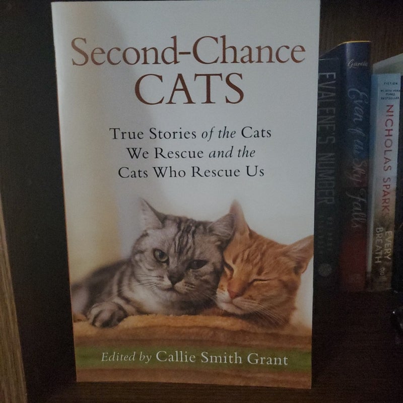 Second-Chance Cats