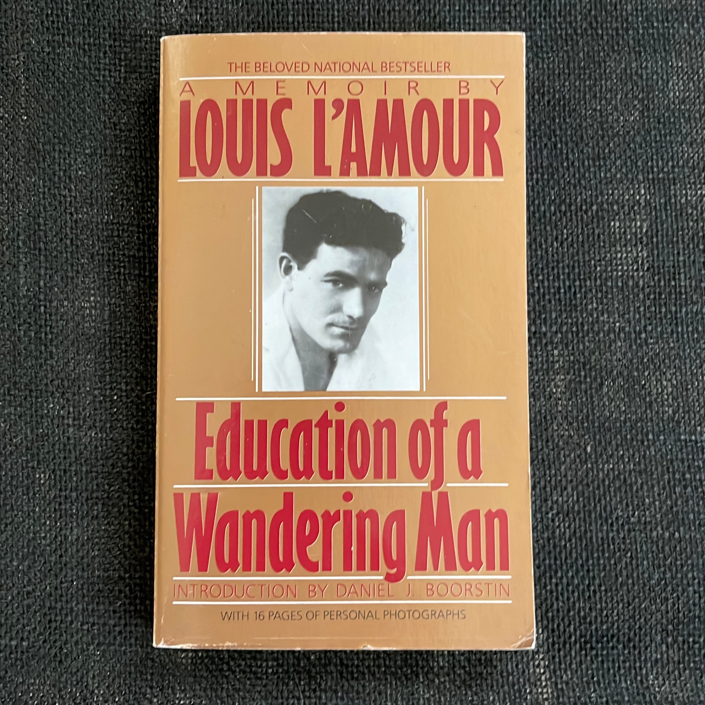 Education of a Wandering Man