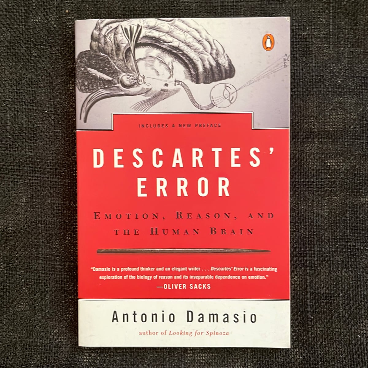Descartes error by antonio damasio