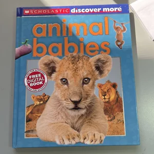 Animal Babies