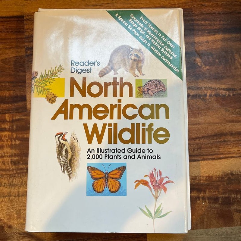 North American Wildlife 