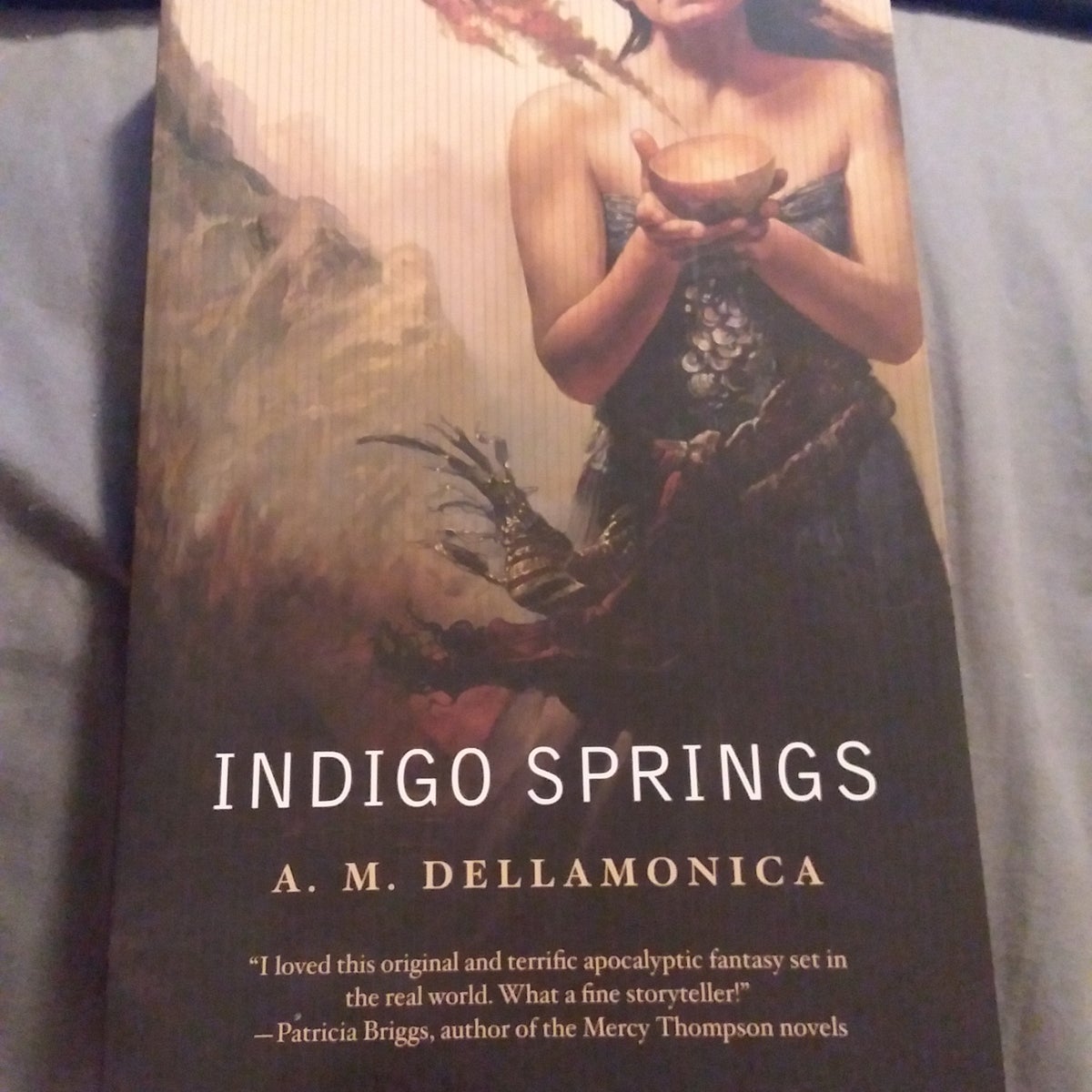 Indigo Springs by A. M. Dellamonica