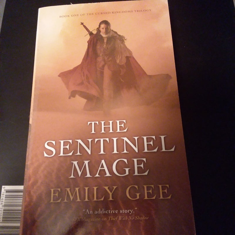 The Sentinel Mage