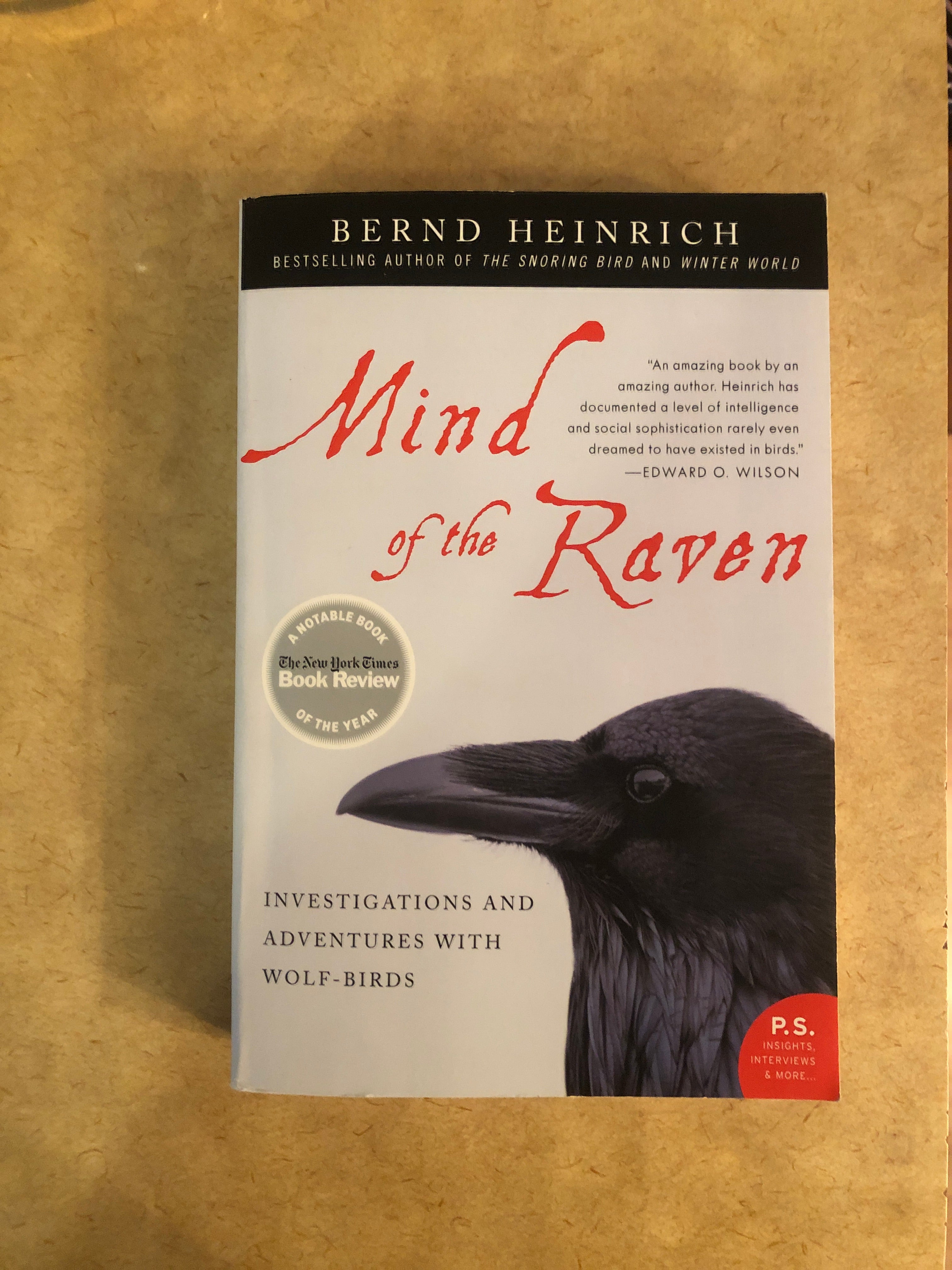 Mind of the Raven