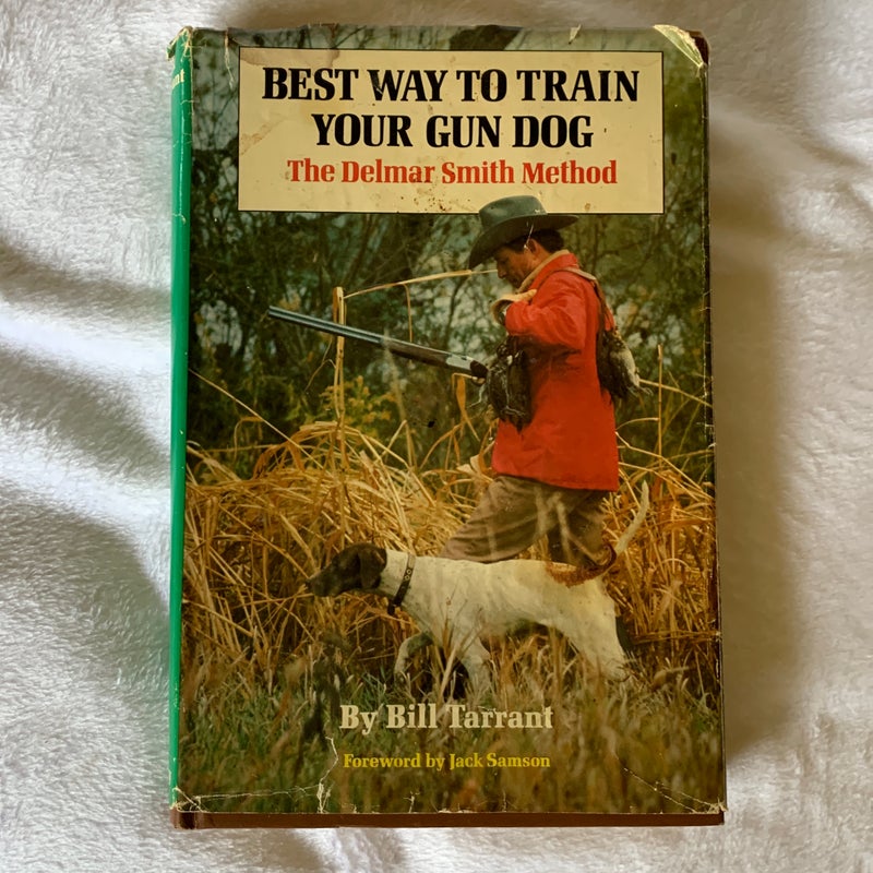 Best Way to Train Your Gun Dog