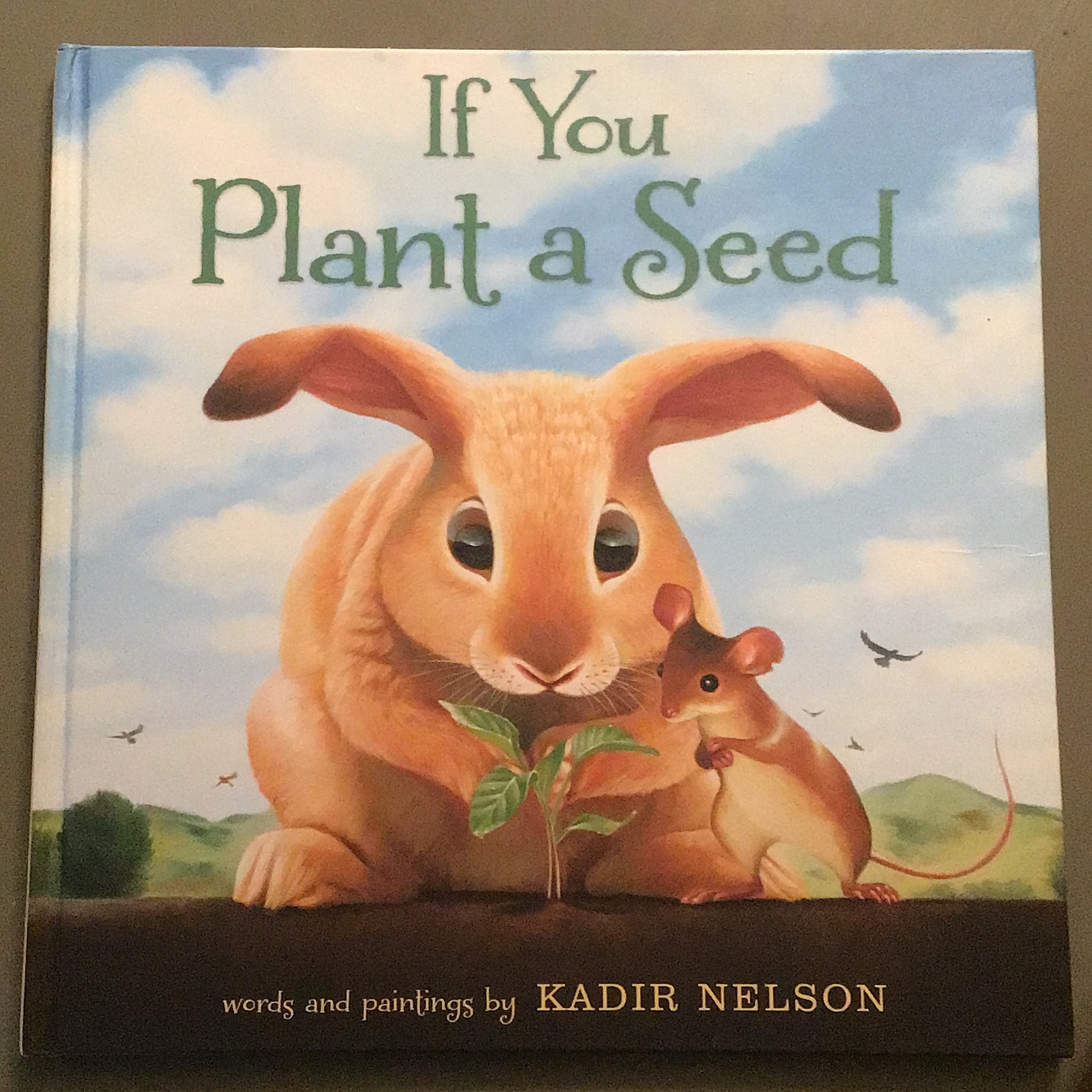 If You Plant a Seed