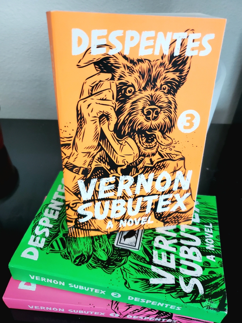 Vernon Subutex 3