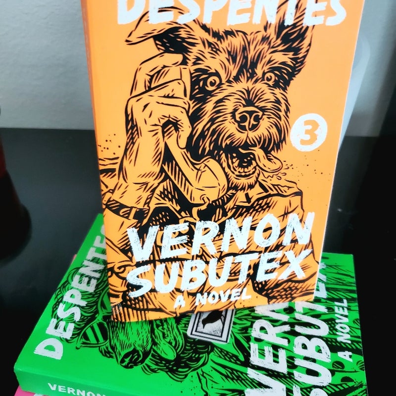 Vernon Subutex 3