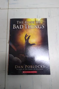 The book of bad things 