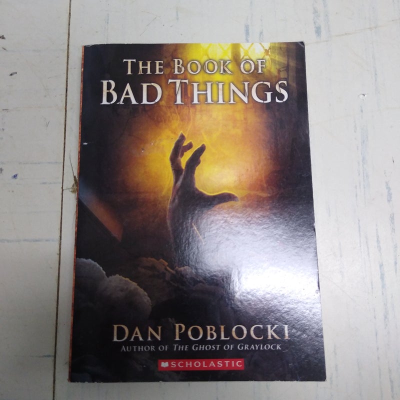 The book of bad things 