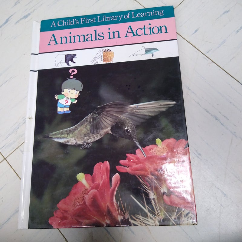 Animals in Action