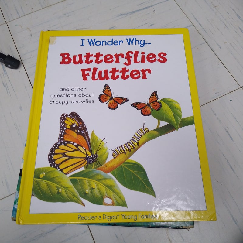 I wonder why butterflies flutter