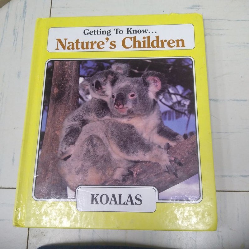 Koalas/cheetah 
