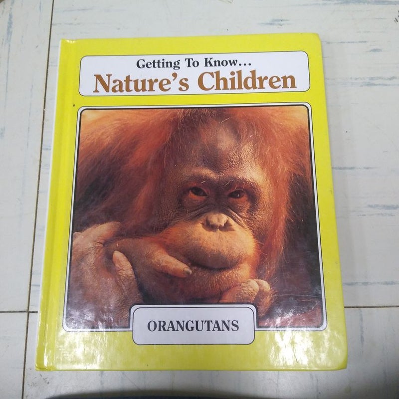 Orangutans/gazelles