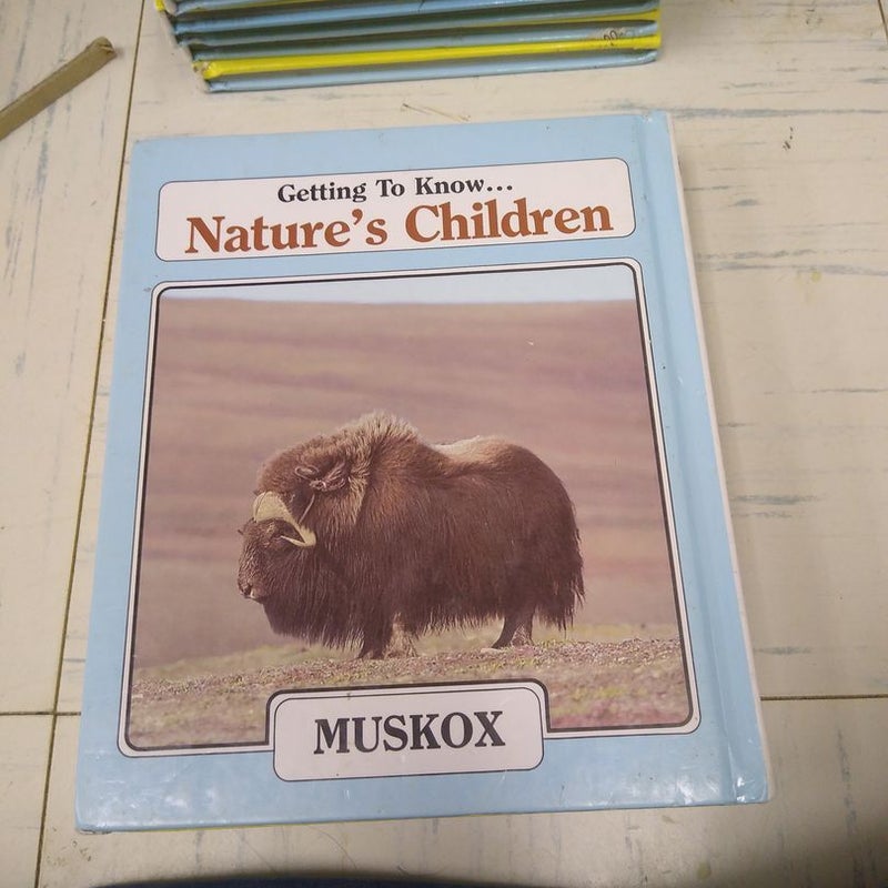 Muskox/grouse