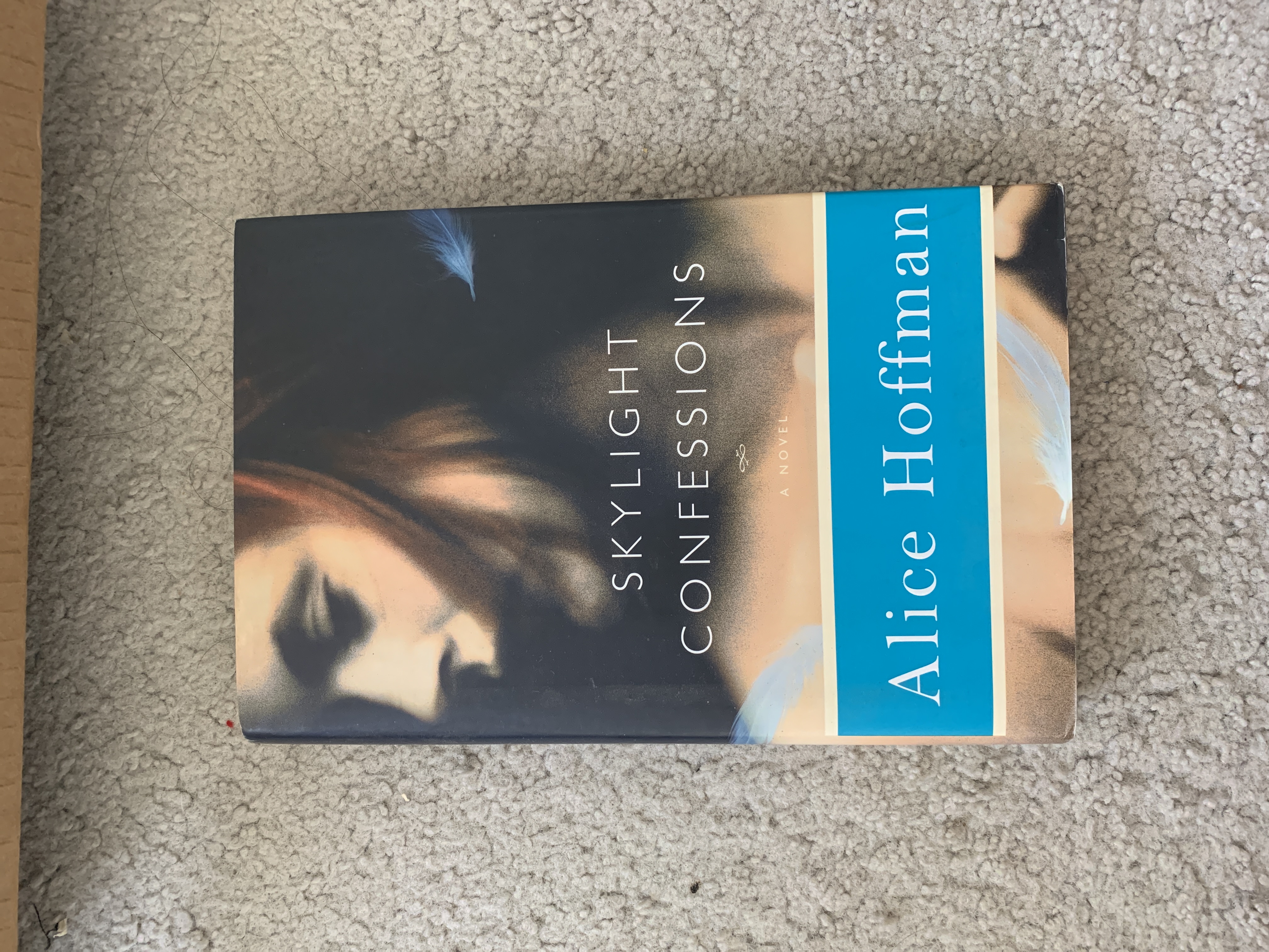 Skylight Confessions