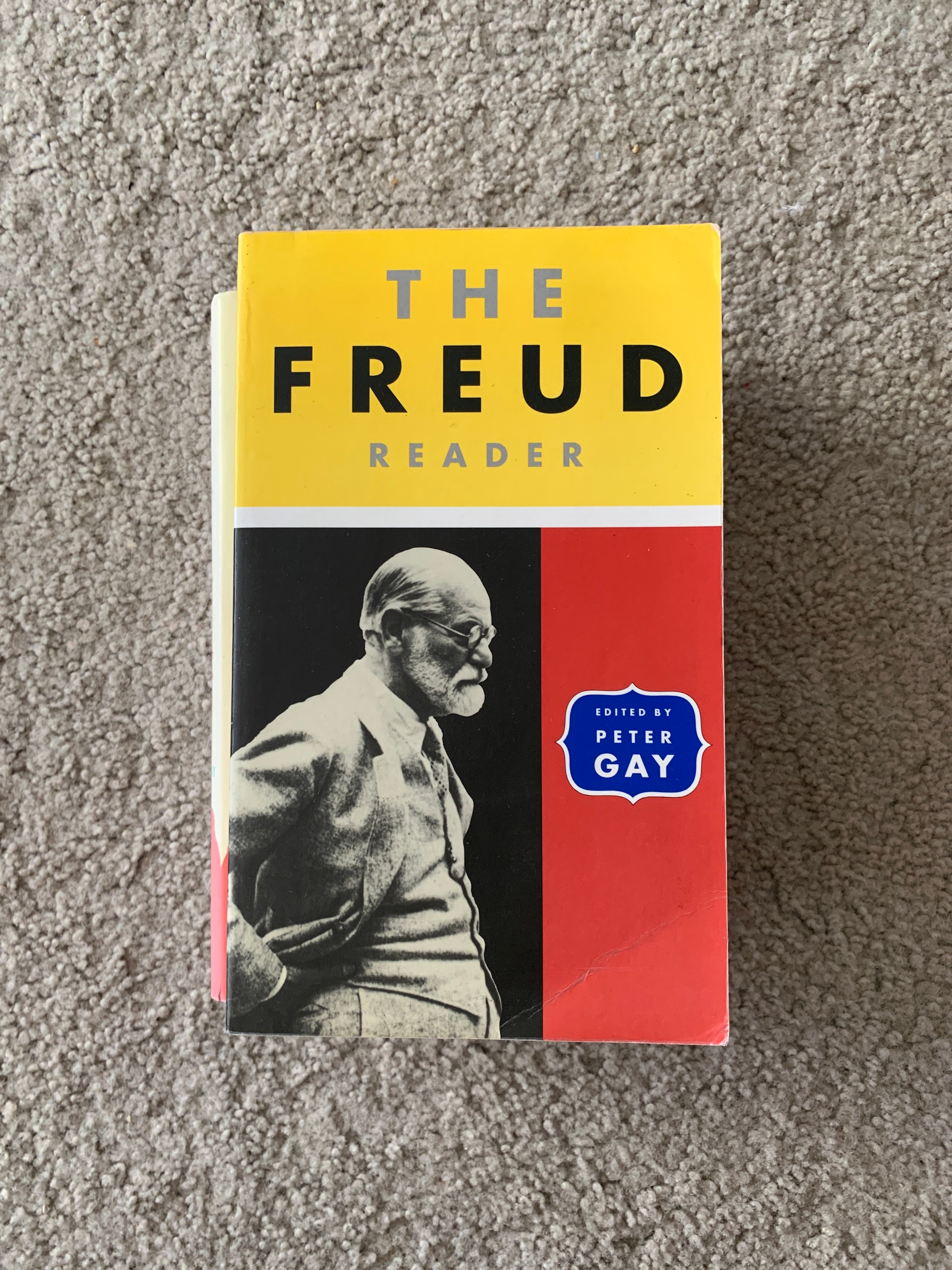 Freud Reader