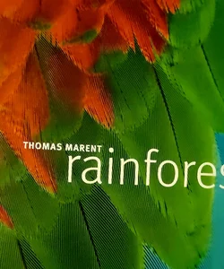 rainforest 