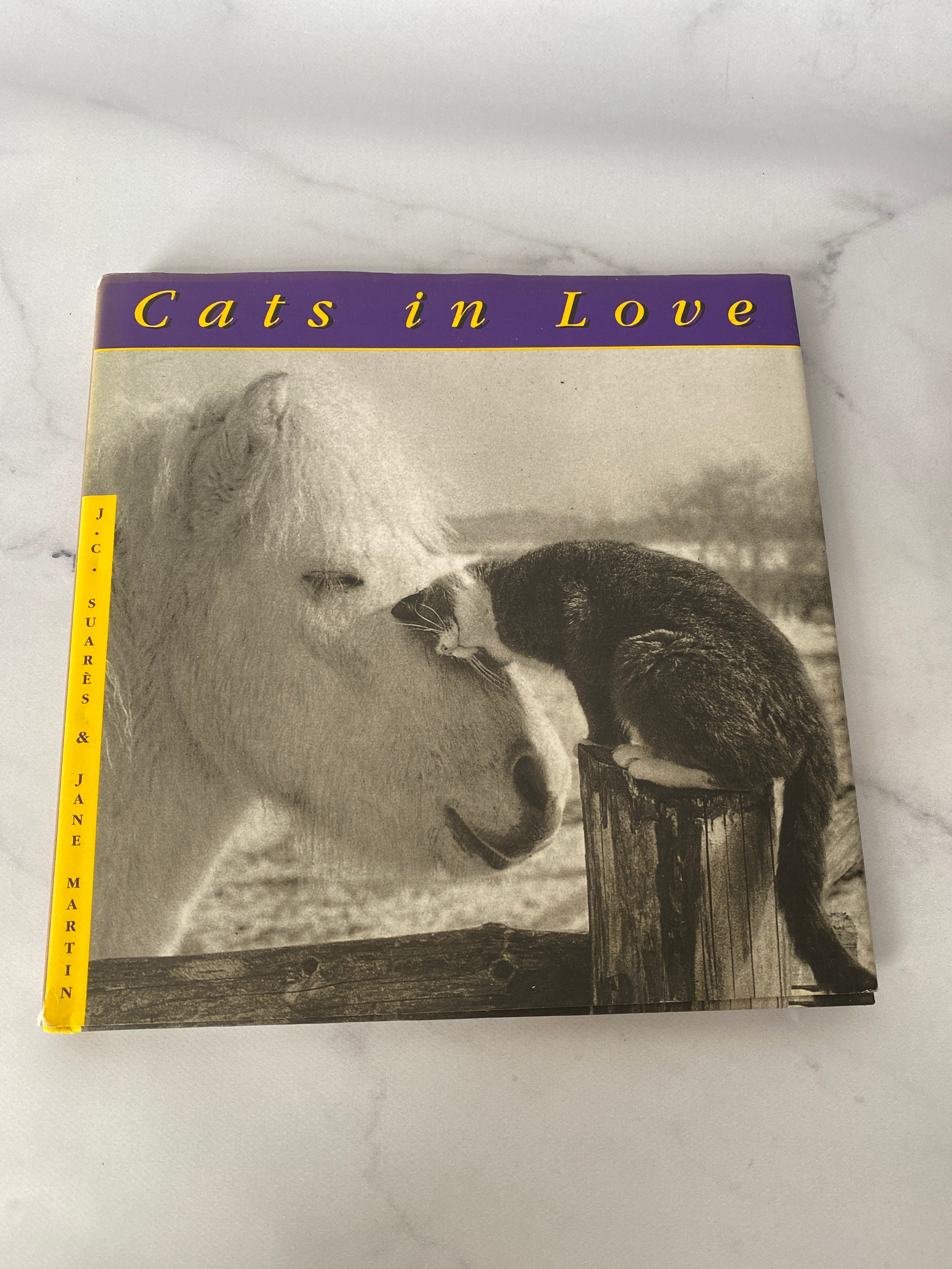 Cats in Love