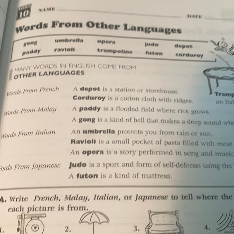 240-vocabulary-words-kids-need-to-know-by-linda-beech-pangobooks