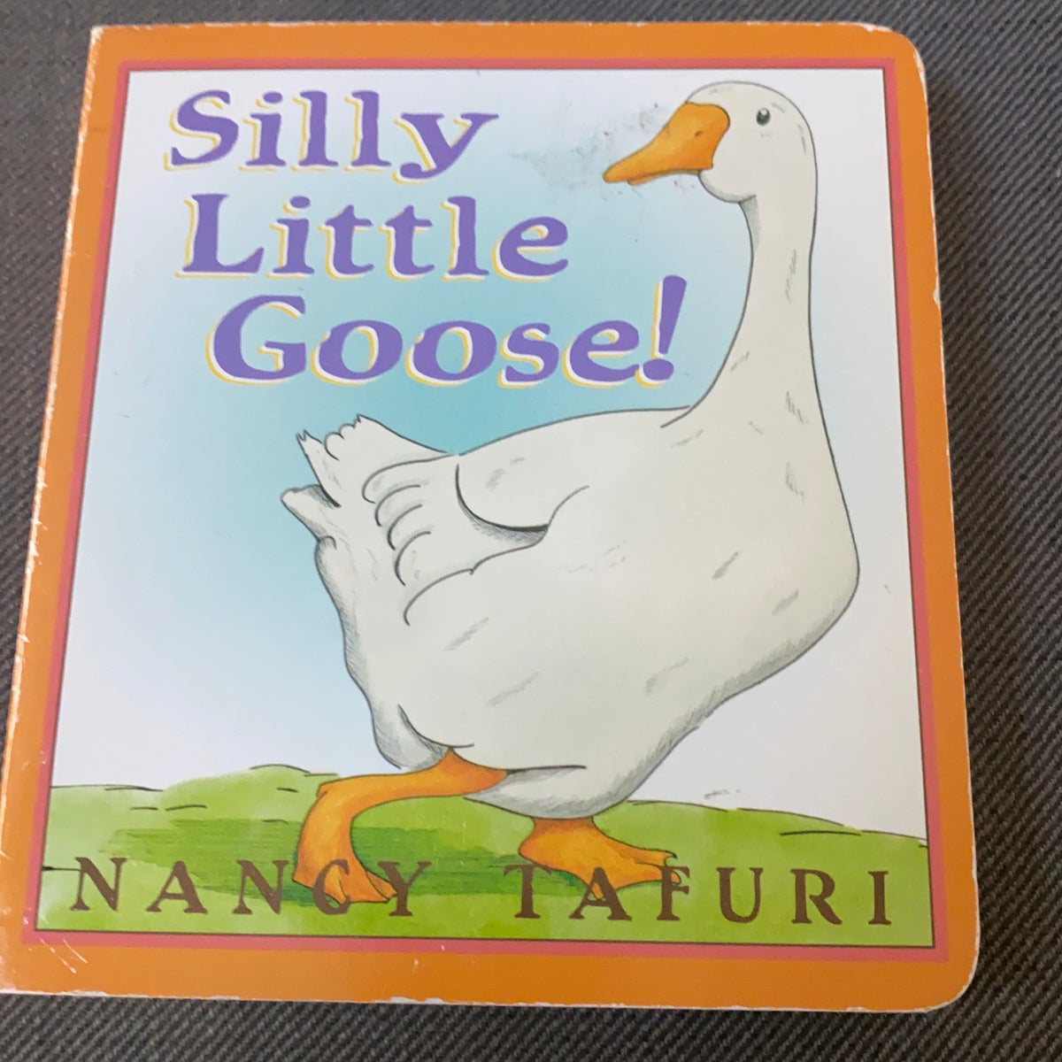 Silly Little Goose! by Nancy Tafuri