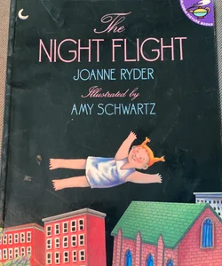 The night flight