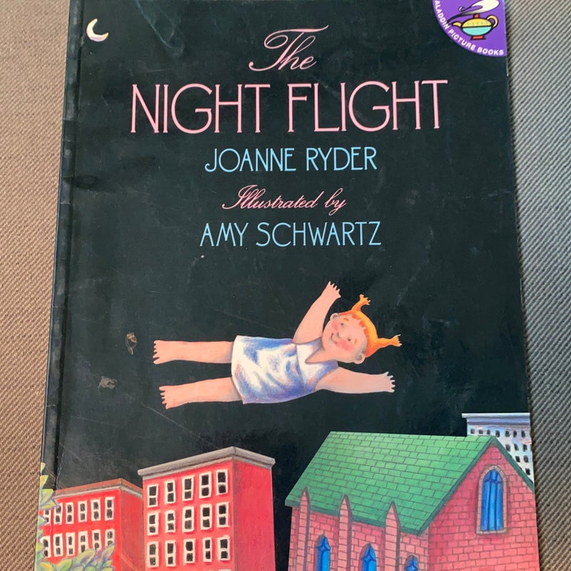 The night flight