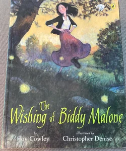 The Wishing of Biddy Malone