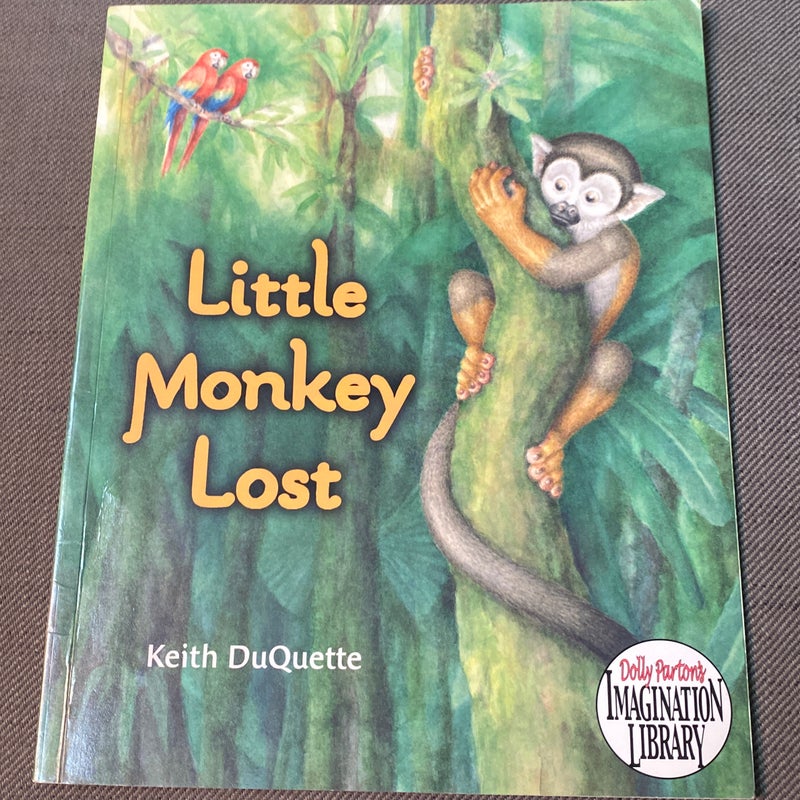 Little monkey lost