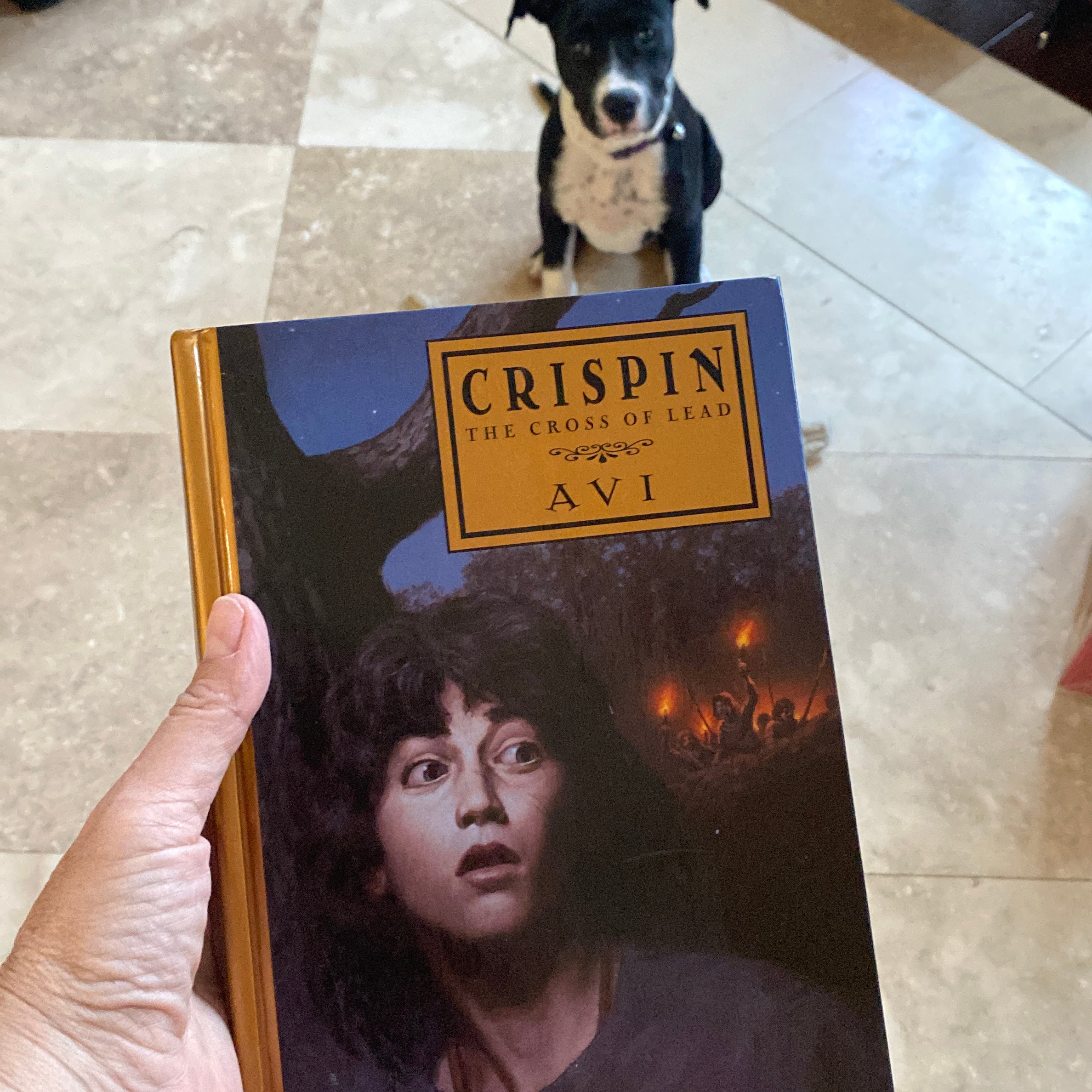 Crispin: the Cross of Lead