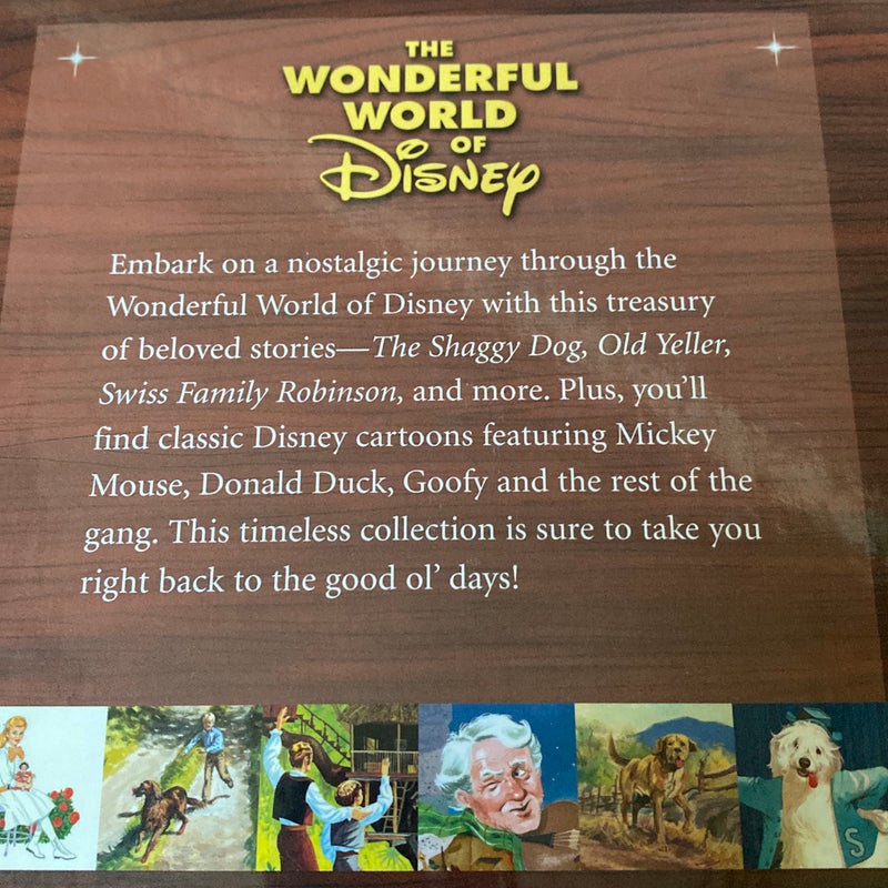 The Wonderful World of Disney