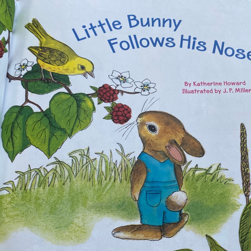 Little Bunny Follows His Nose